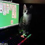 Doug Nitzsche