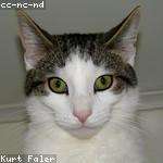 Buster Kuphal
