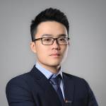 việt ngô tình