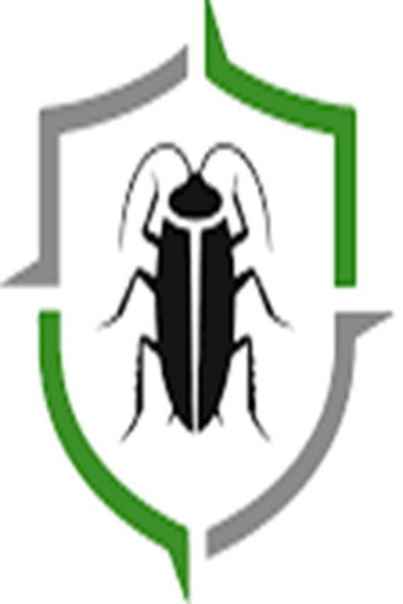 Pest Control Adelaide