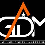 gunnudigital321