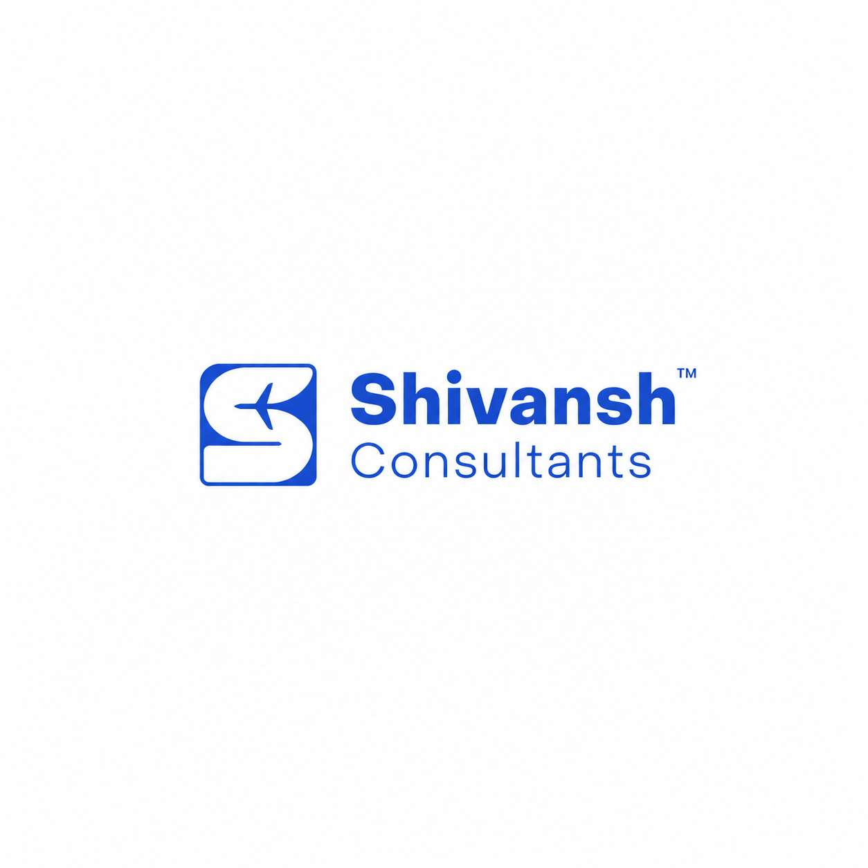 Shivansh Consultants Consultants