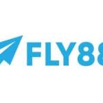 fly88soccer