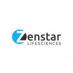 zenstarseo zenstarseo