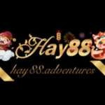 HAY88